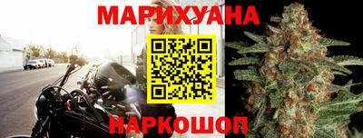 прущие крисы Аргун