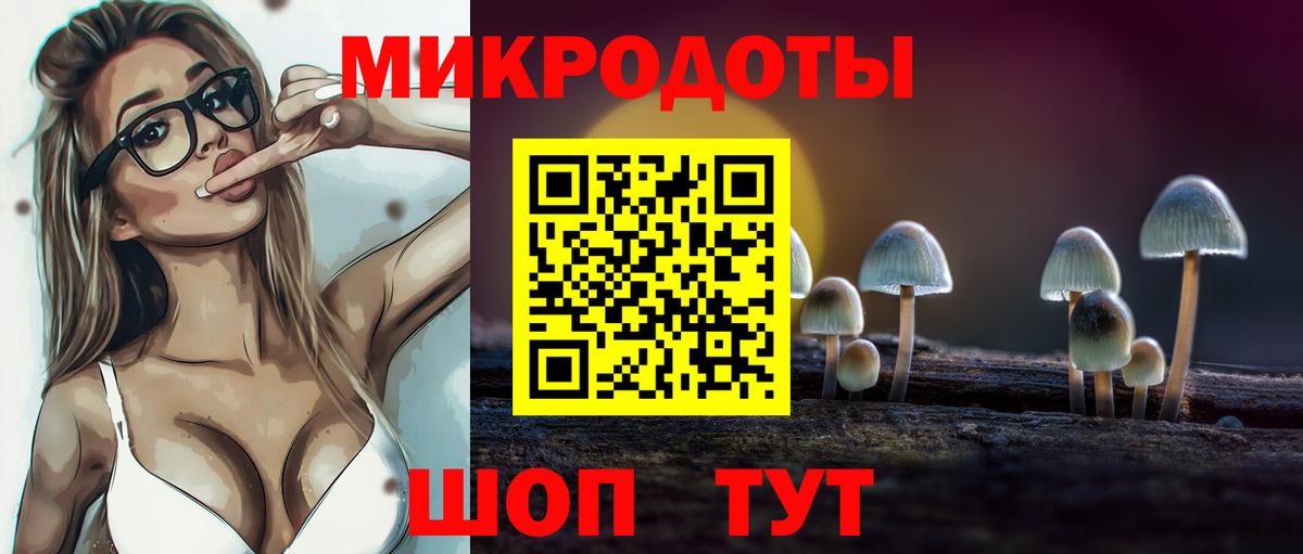 Псилоцибиновые грибы Psilocybe  Галлюциногенные грибы мухоморы  Архангельск  Вход с VPN 